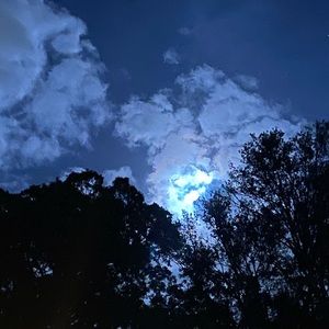 This is your seller!